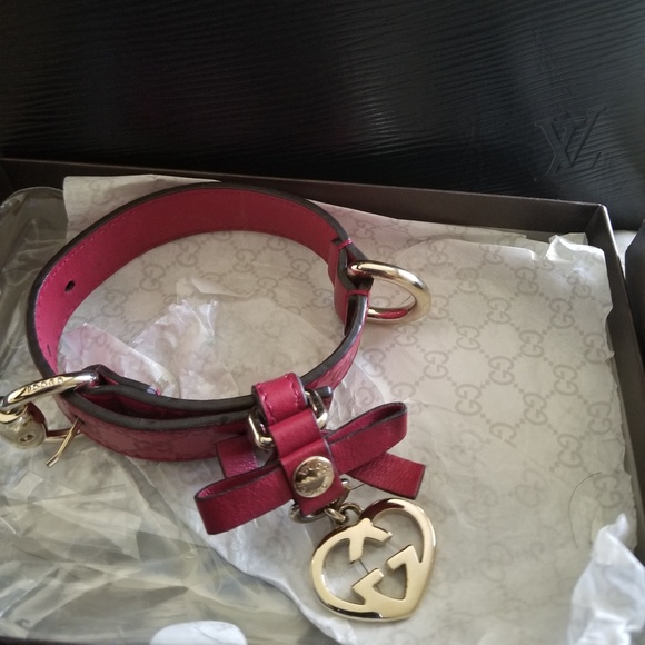 gucci dog accessories